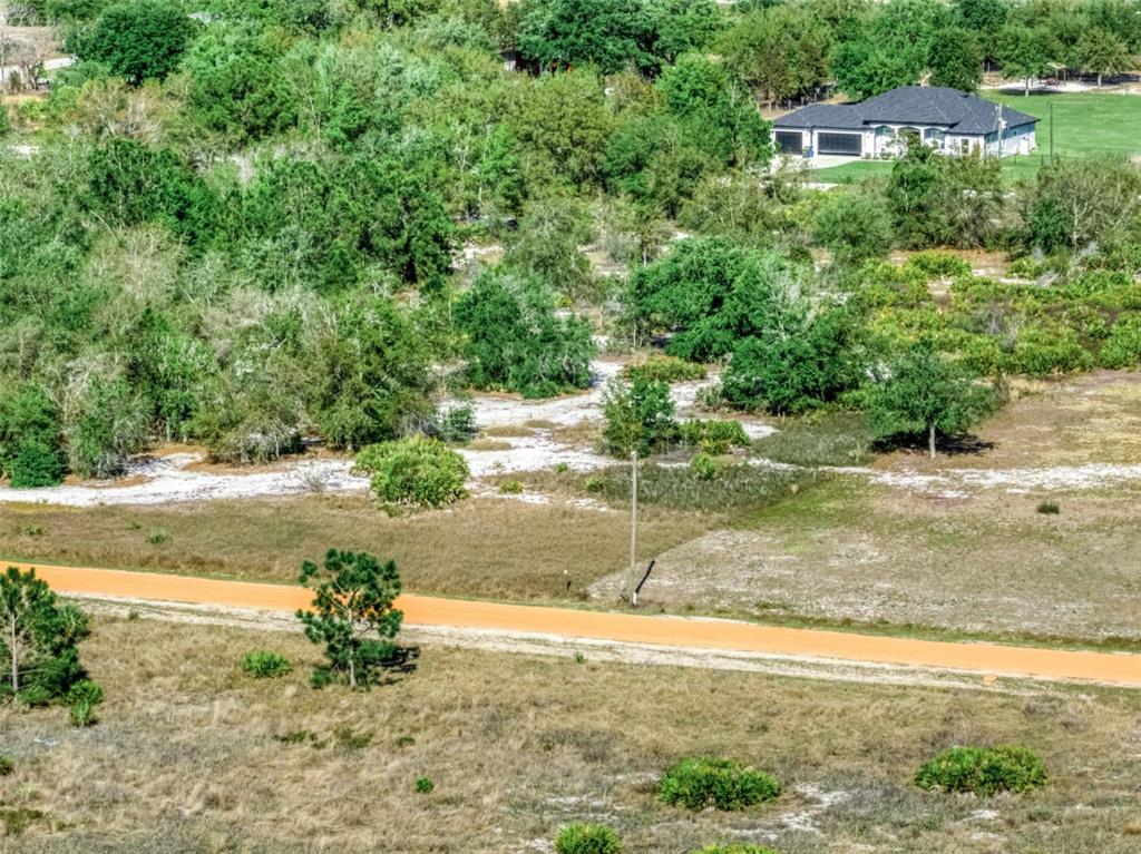 523 South Dickey Road Avon Park, FL 33825 - Photo 6 of 10 a view of a yard with an trees