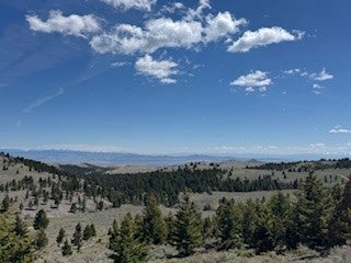 Tbd Tbd Keating Gulch Road Toston, MT 59643 - Photo 14 of 22 Gallery Image 14