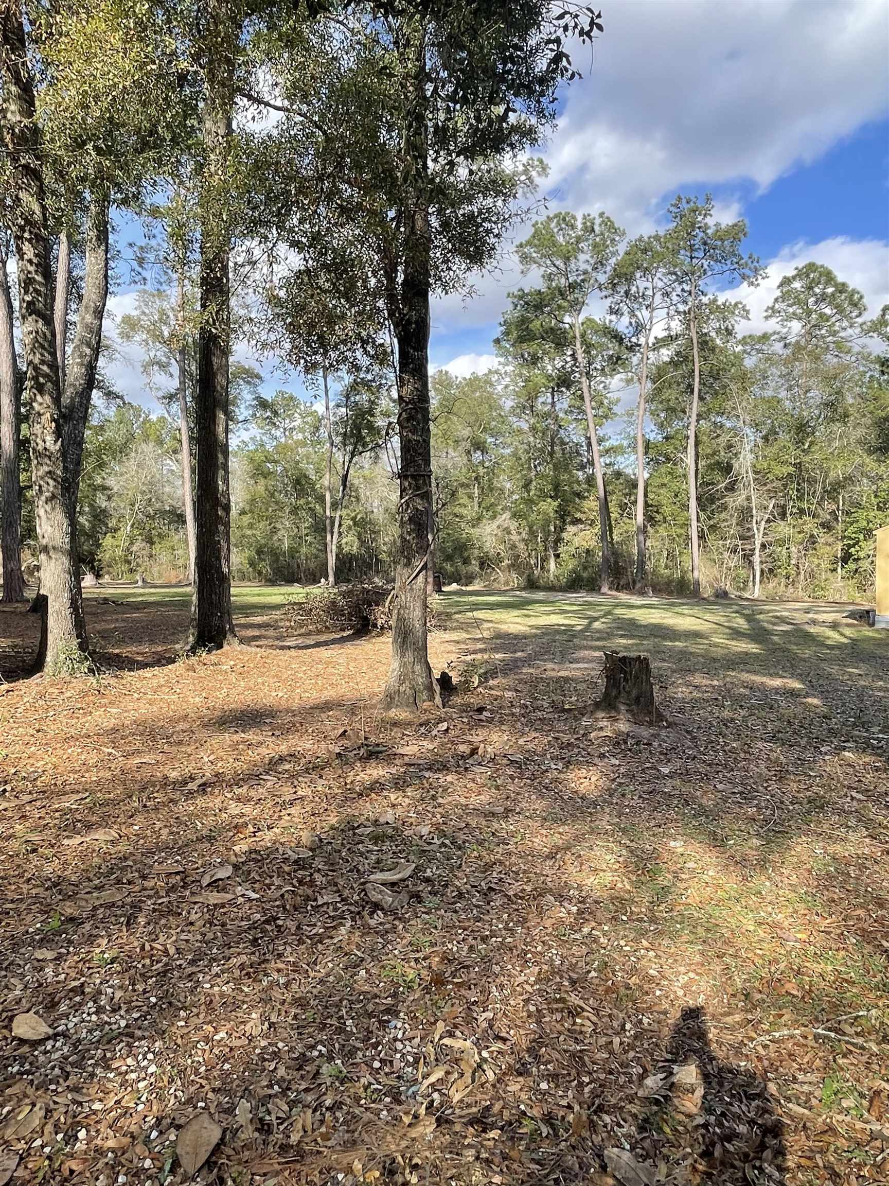 300 Ochlockonee River Road Havana, FL 32333 - Photo 1 of 19 Gallery Image 1