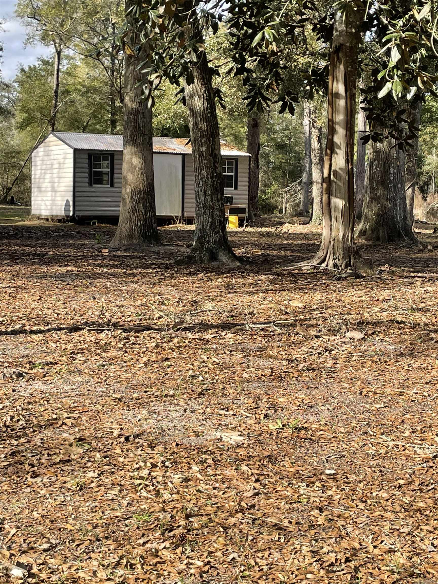 300 Ochlockonee River Road Havana, FL 32333 - Photo 12 of 19 Gallery Image 12