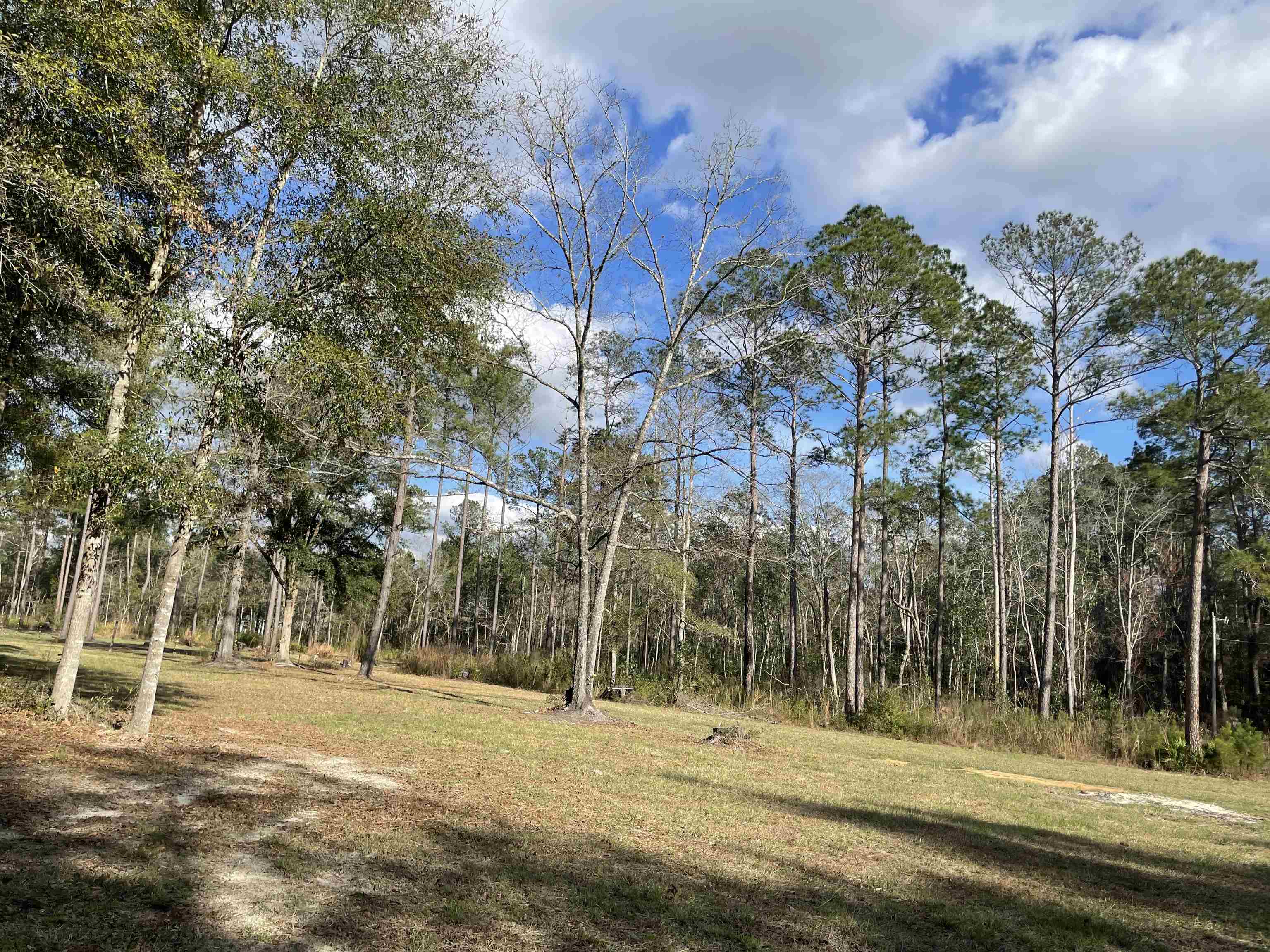 300 Ochlockonee River Road Havana, FL 32333 - Photo 19 of 19 Gallery Image 19