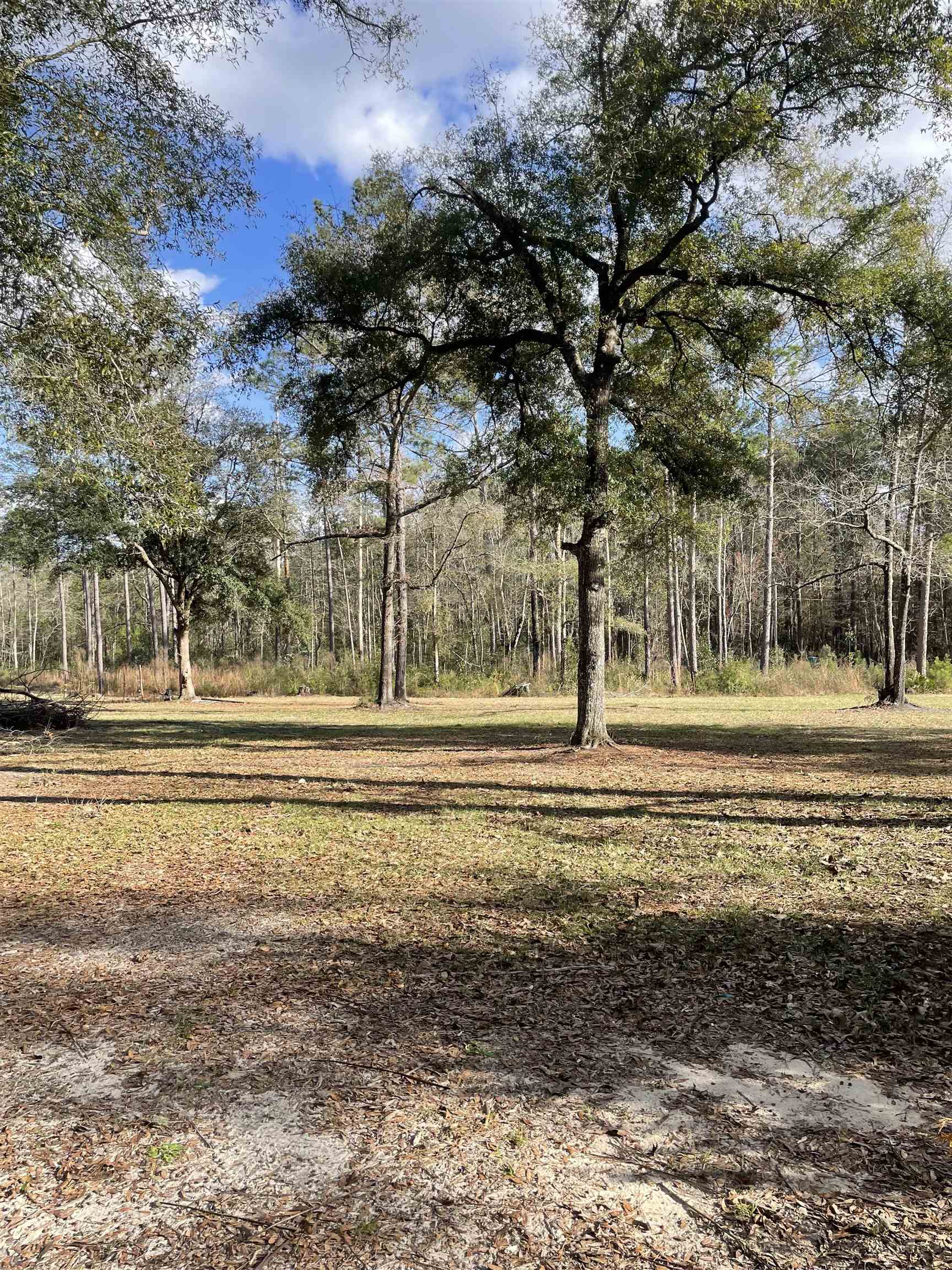 300 Ochlockonee River Road Havana, FL 32333 - Photo 2 of 19 Gallery Image 2