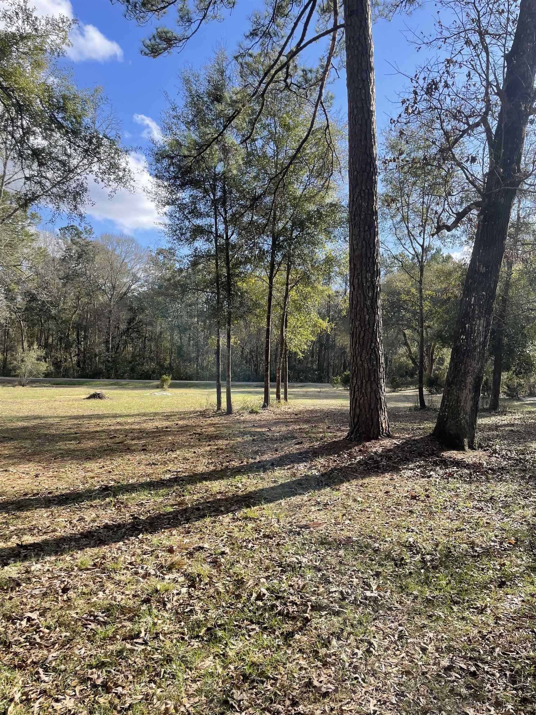 300 Ochlockonee River Road Havana, FL 32333 - Photo 3 of 19 Gallery Image 3