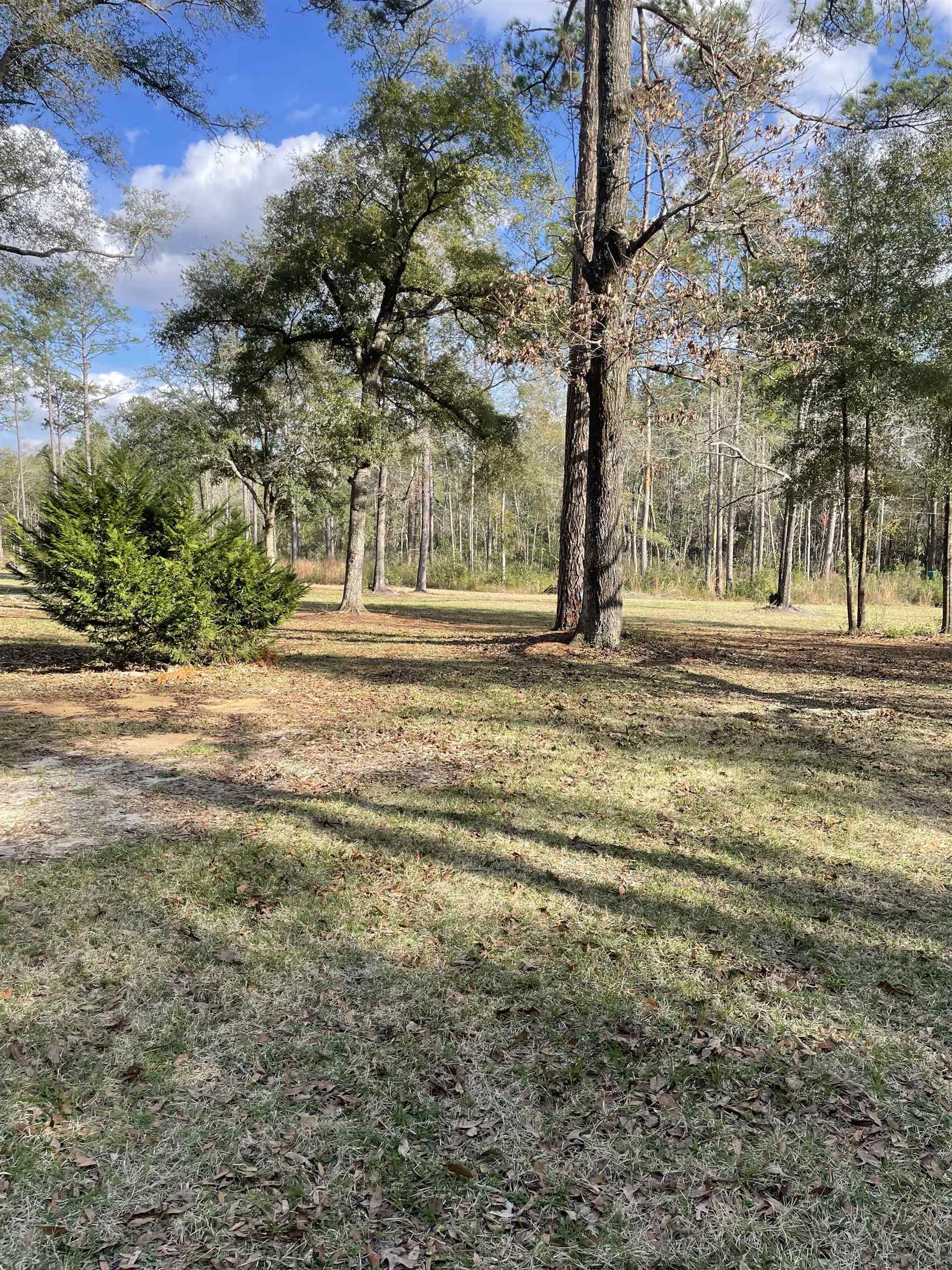 300 Ochlockonee River Road Havana, FL 32333 - Photo 5 of 19 Gallery Image 5
