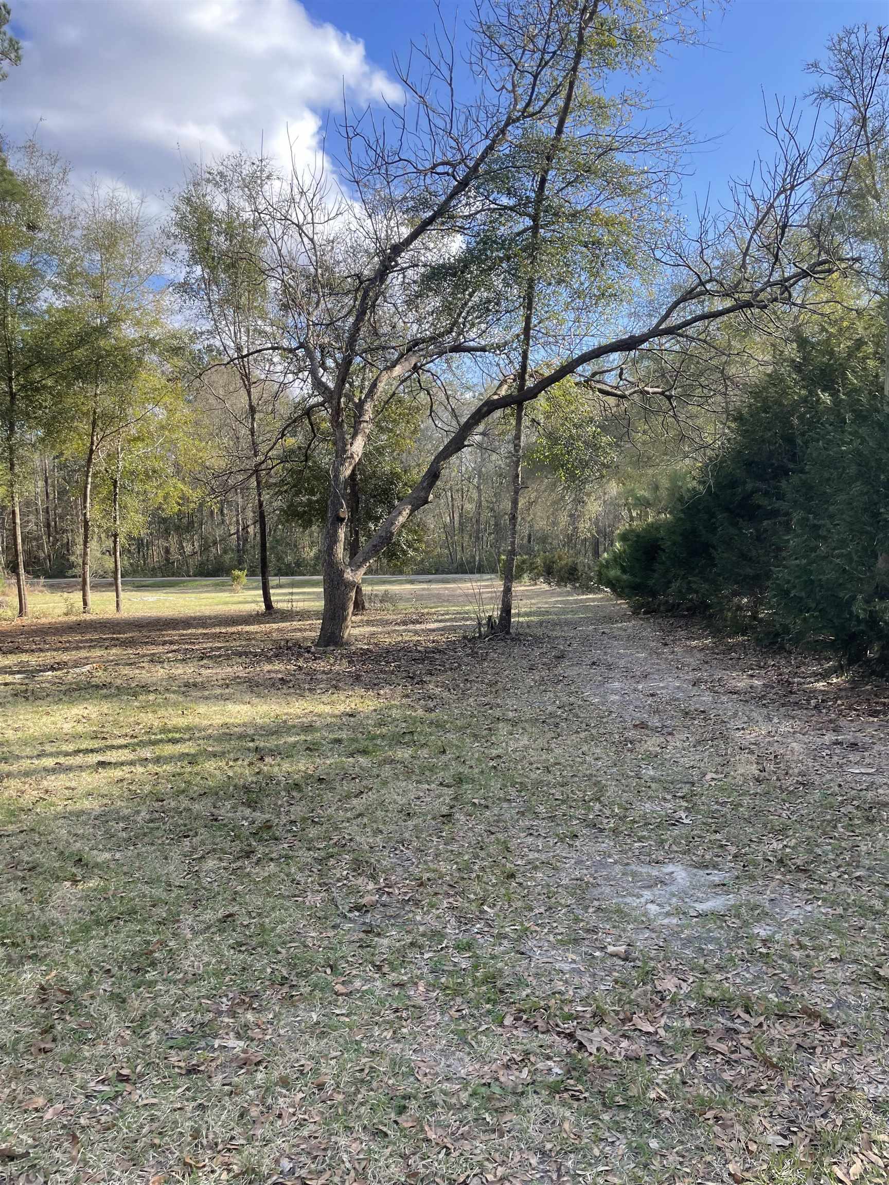 300 Ochlockonee River Road Havana, FL 32333 - Photo 6 of 19 Gallery Image 6