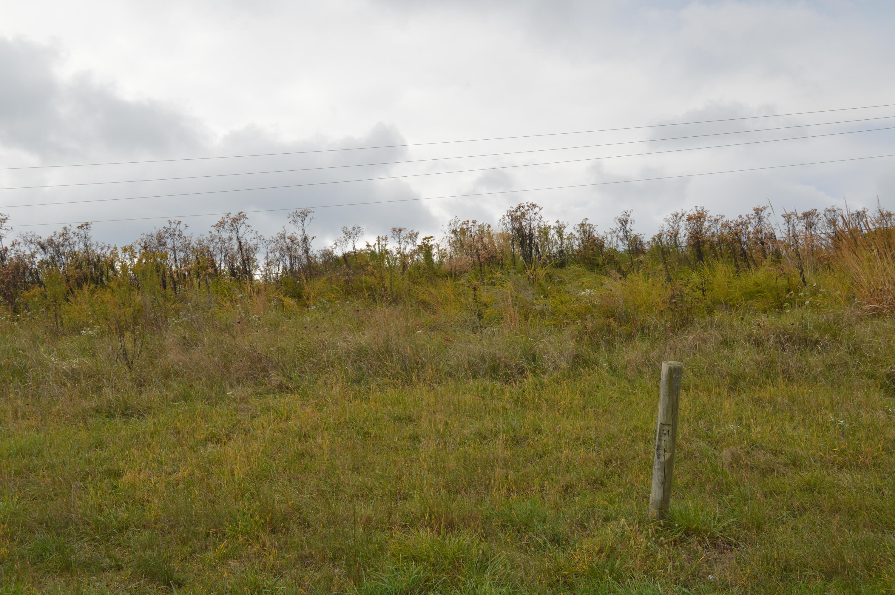 Lot # Georgetown Road Owenton, KY 40359 - Photo 5 of 13 DSC_0094