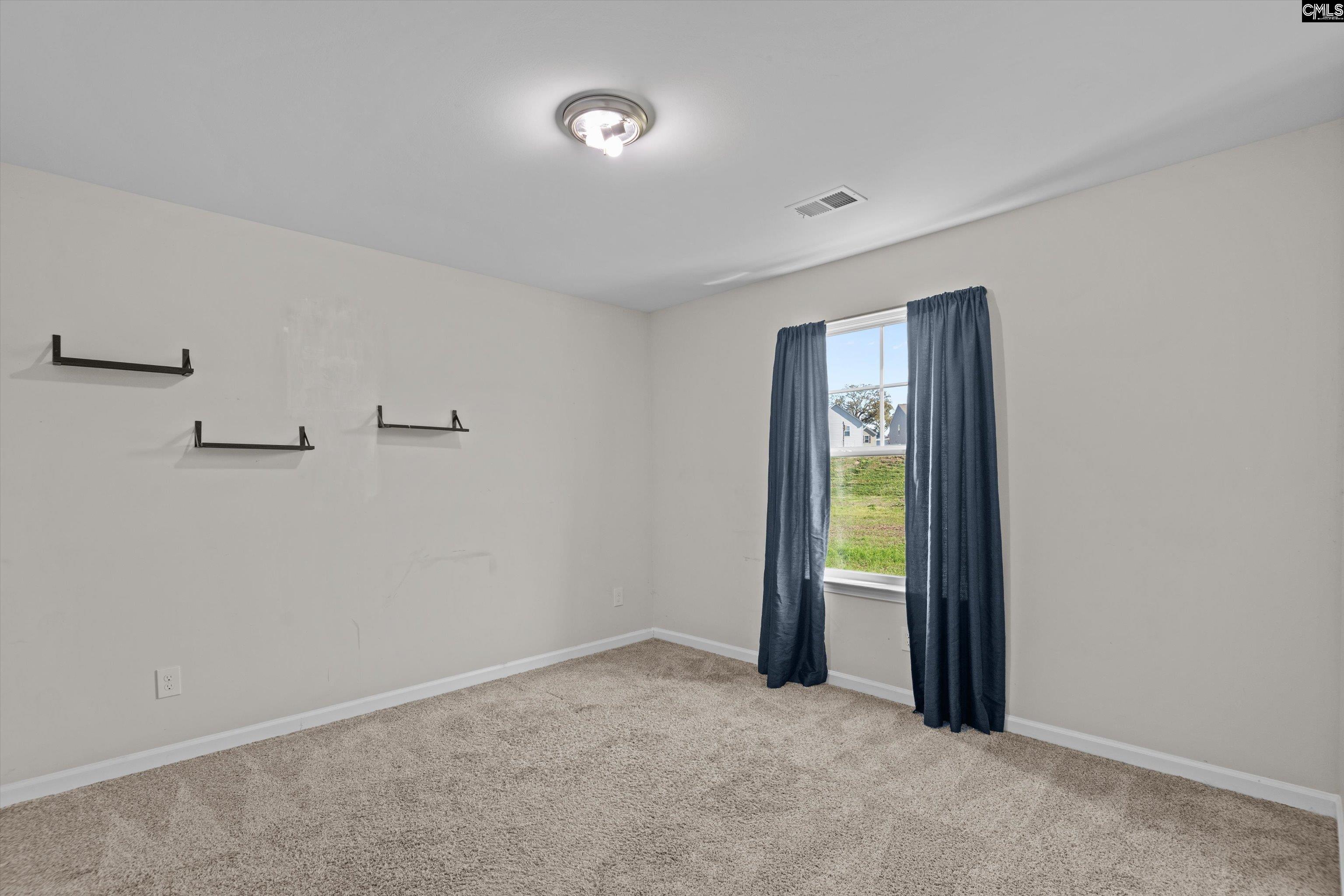 297 Wahoo Circle Irmo, SC 29063 - Photo 21 of 25