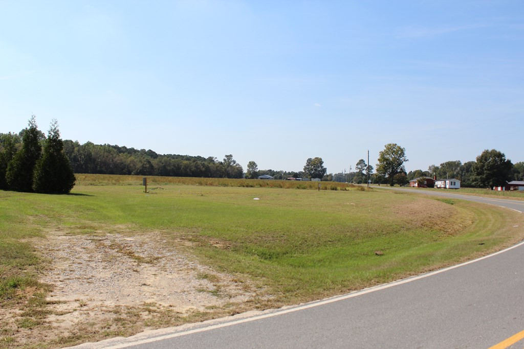 210 Mills Loop Road Mount Olive, NC 28365 - Photo 24 of 24 Gallery Image 24