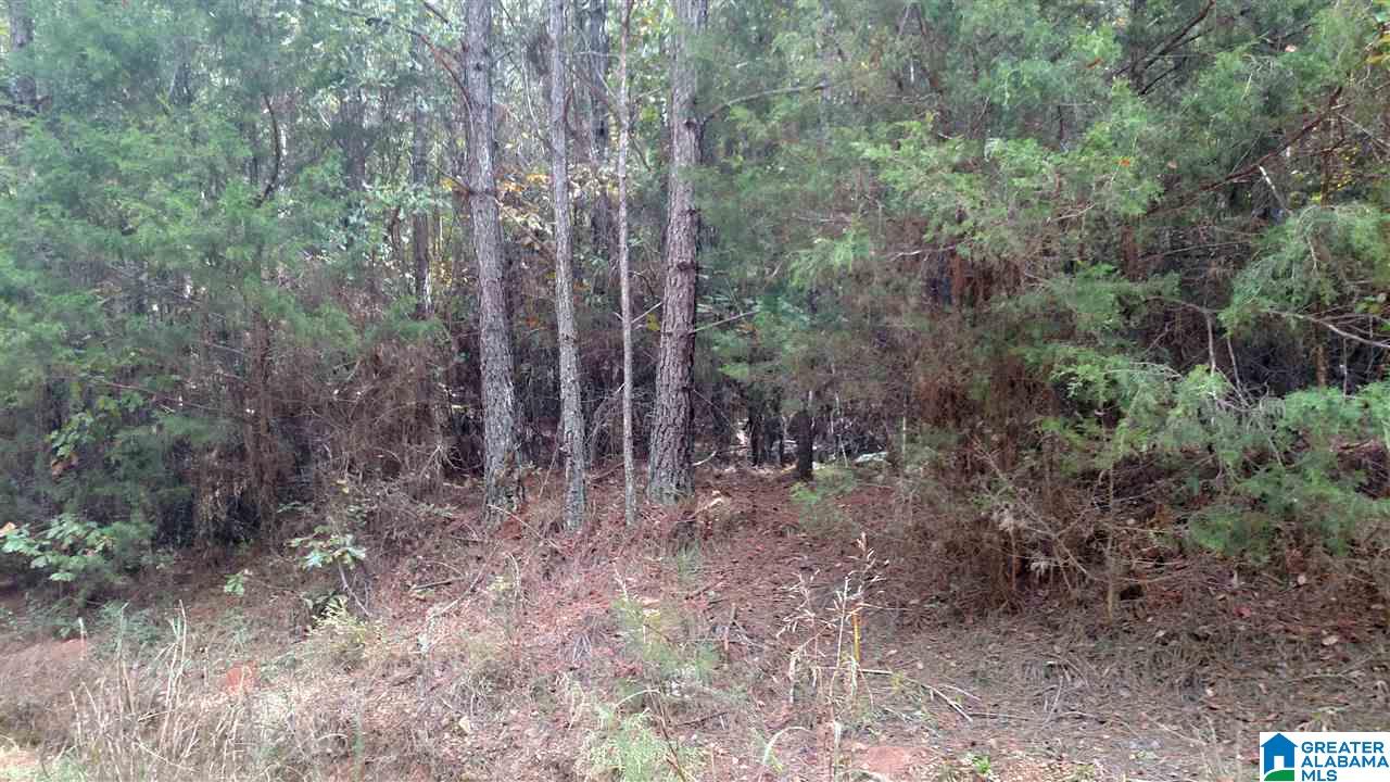 0 Cook Road, Unit 2 Equality, AL 36026 - Photo 1 of 5