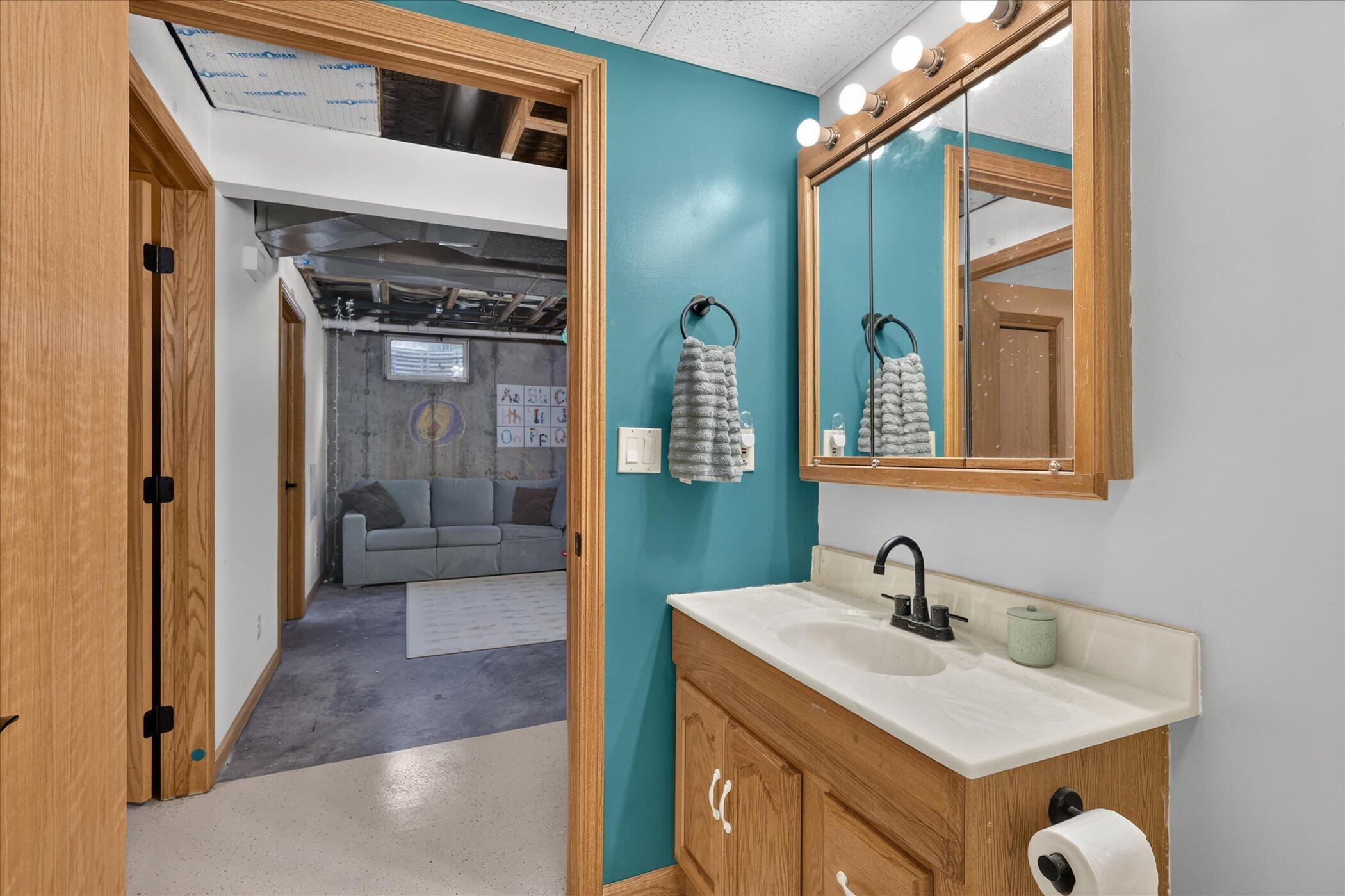117 Charlotte Street Edmore, MI 48829 - Photo 38 of 44 3rd Bathroom