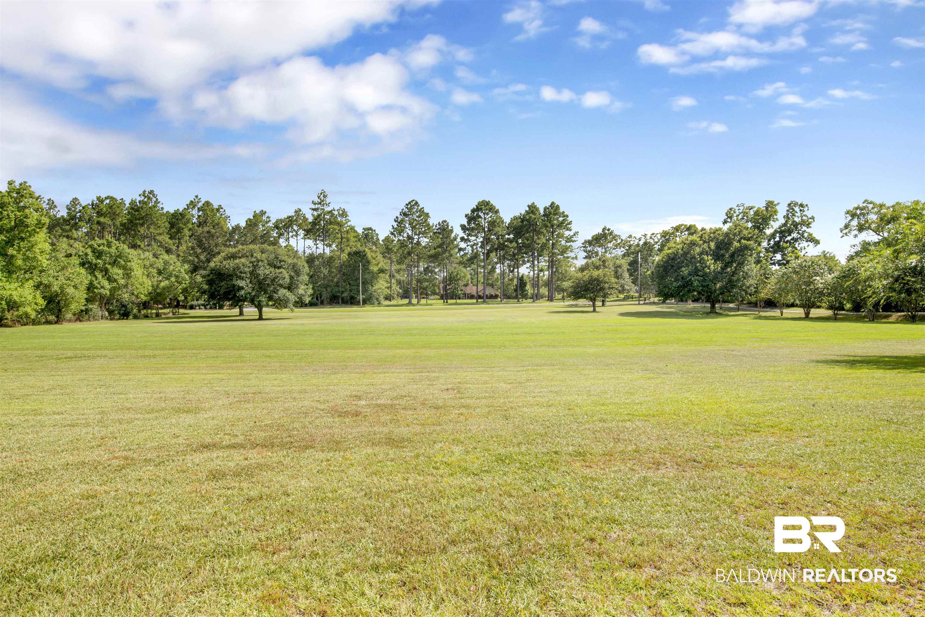 18263 Driskell Road Loxley, AL 36551 - Photo 5 of 50 4.7 Acres