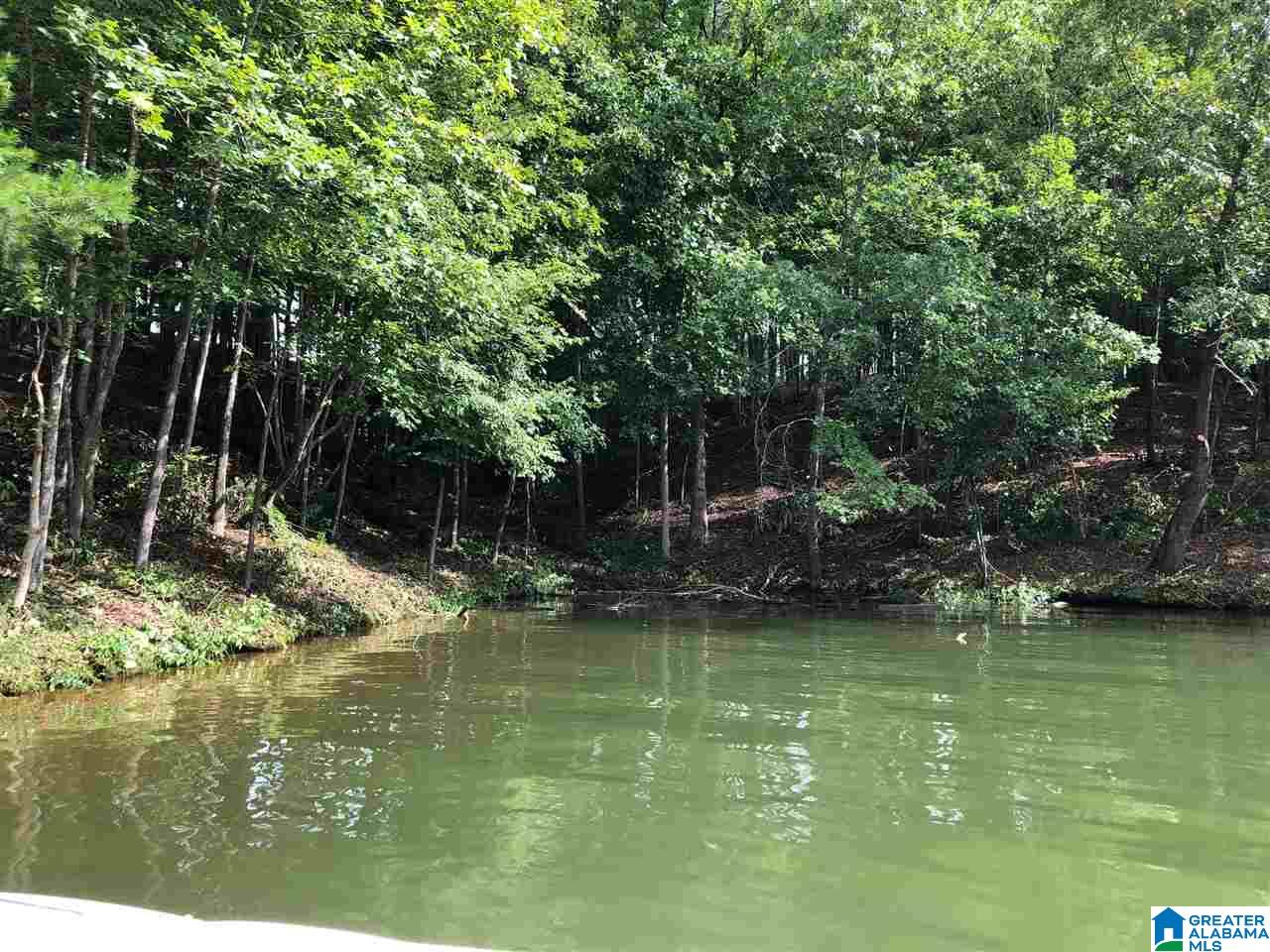 6 County Road, Unit 55A Wedowee, AL 36278 - Photo 1 of 6 Gallery Image 1