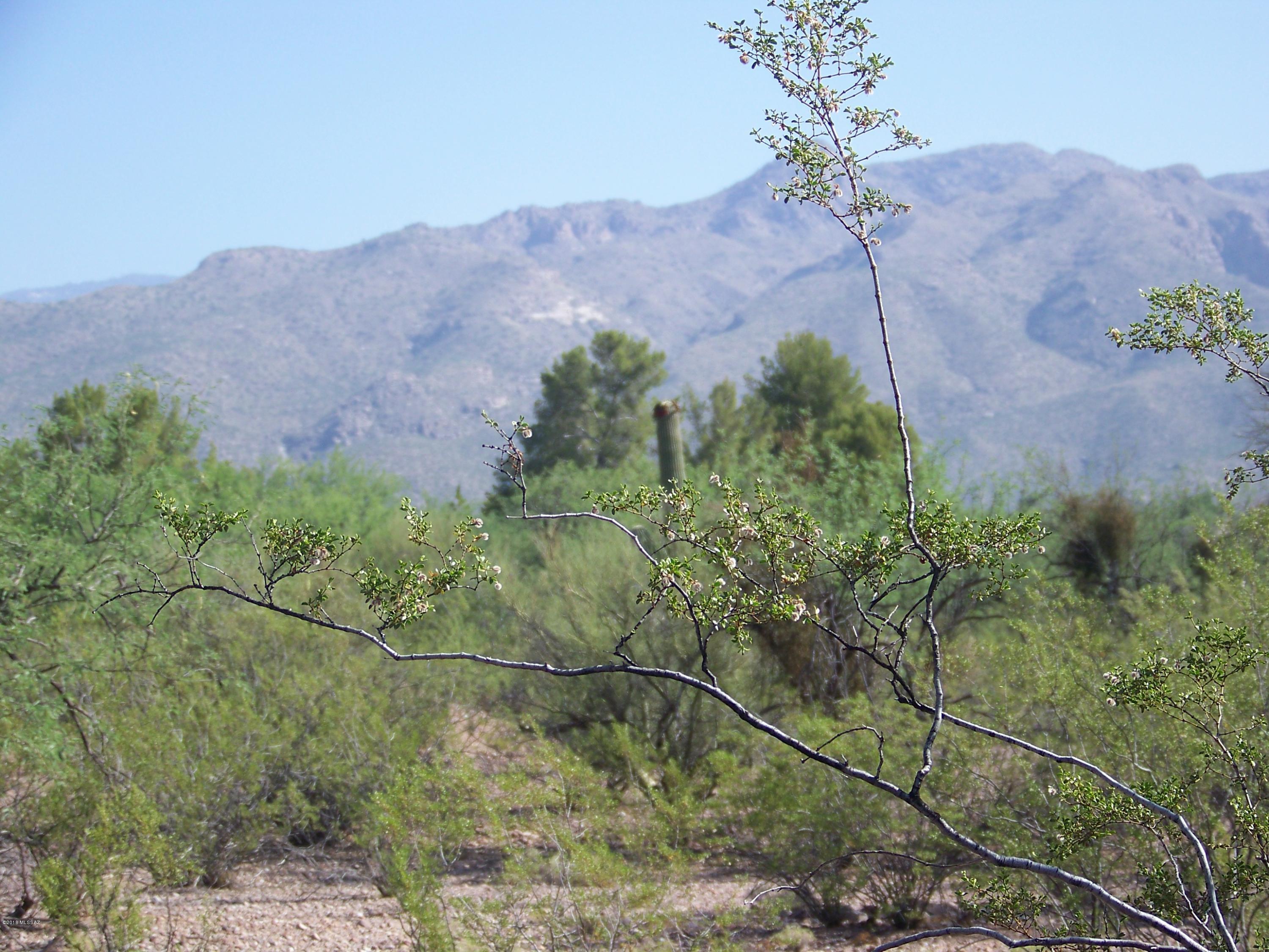 Tbd East Kleindale Road Tucson, AZ 85749 - Photo 29 of 45 Gallery Image 29