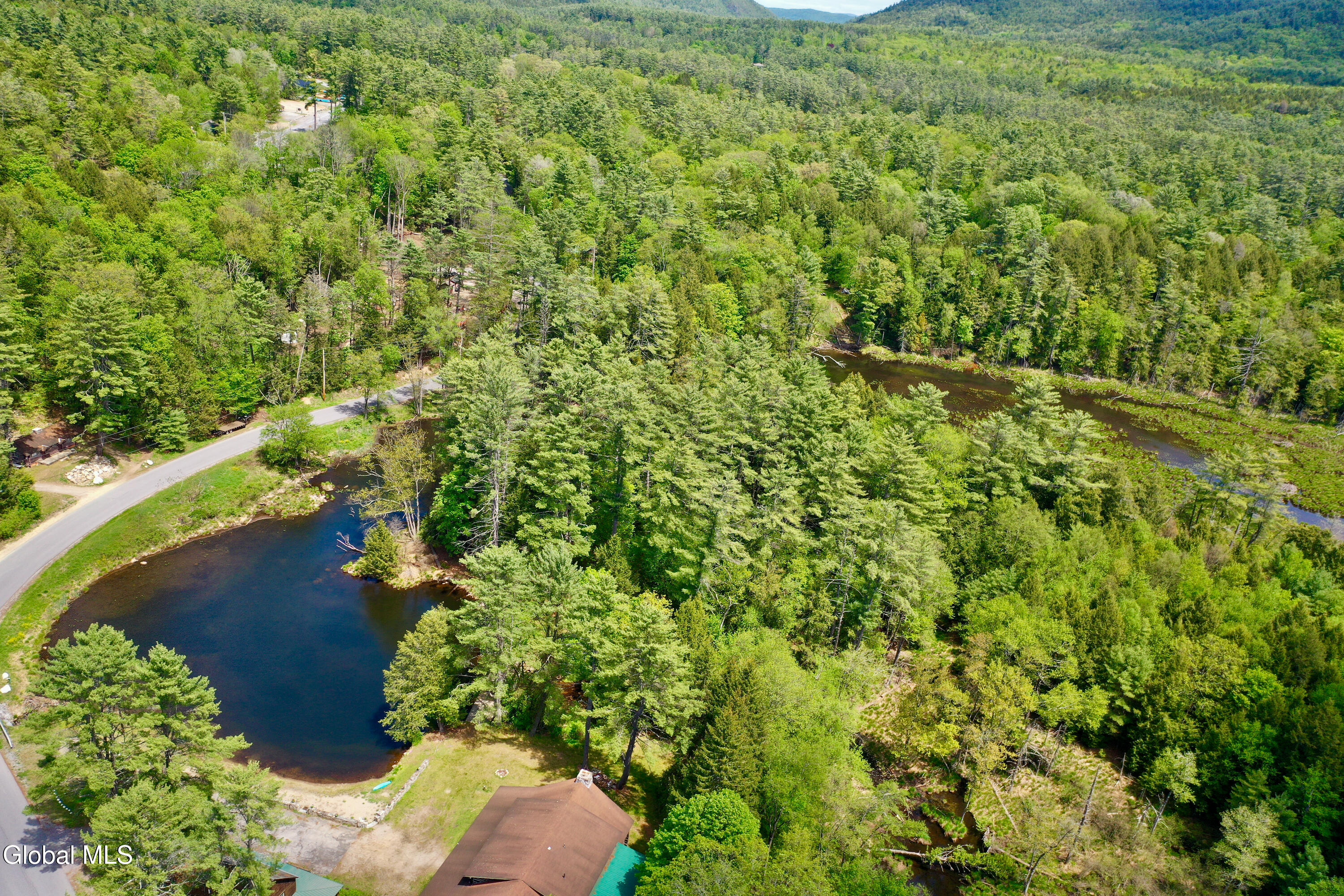 746 Howe Road Lake Luzerne, NY 12846 - Photo 10 of 91 20