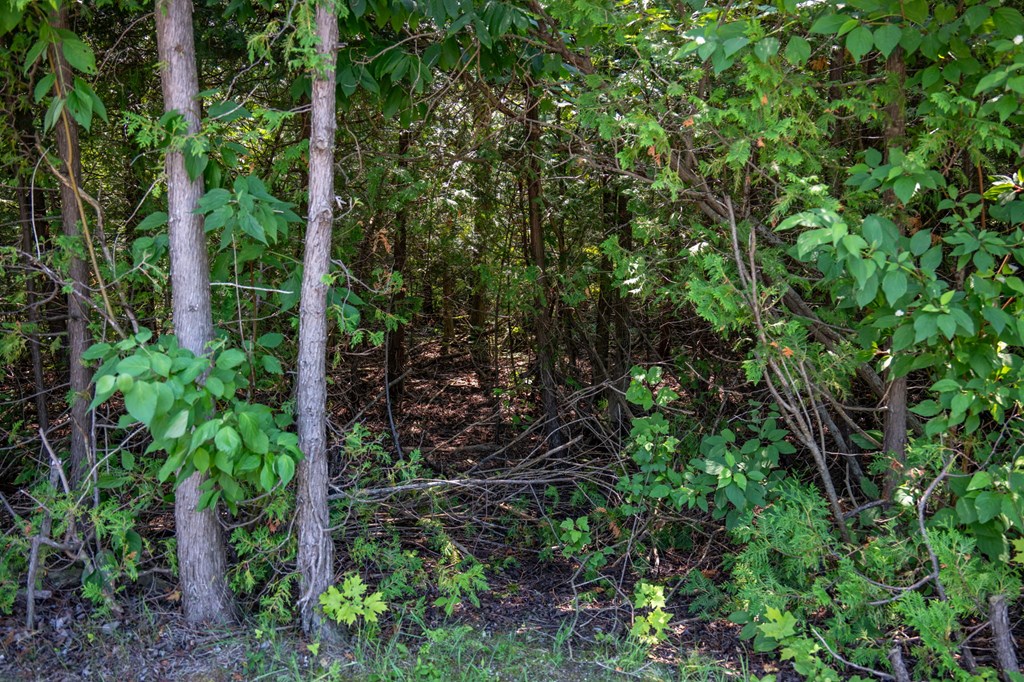 Lot 5 Mill Road Sister Bay, WI 54234 - Photo 9 of 20 Gallery Image 9