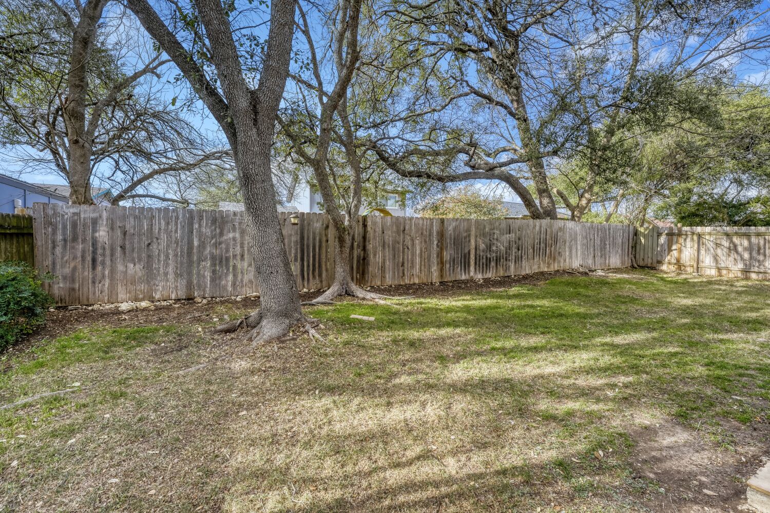 9100 Wagtail Drive Austin, TX 78748 - Photo 21 of 23 View of fenced backyard