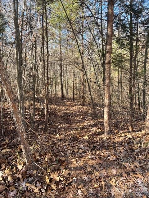 0 Holly Forest Drive Rutherfordton, NC 28139 - Photo 4 of 6 a view of yard