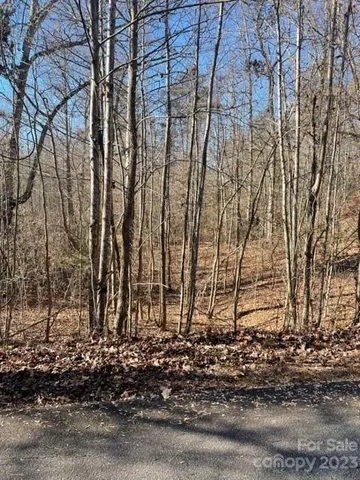 a view of a backyard of the house
