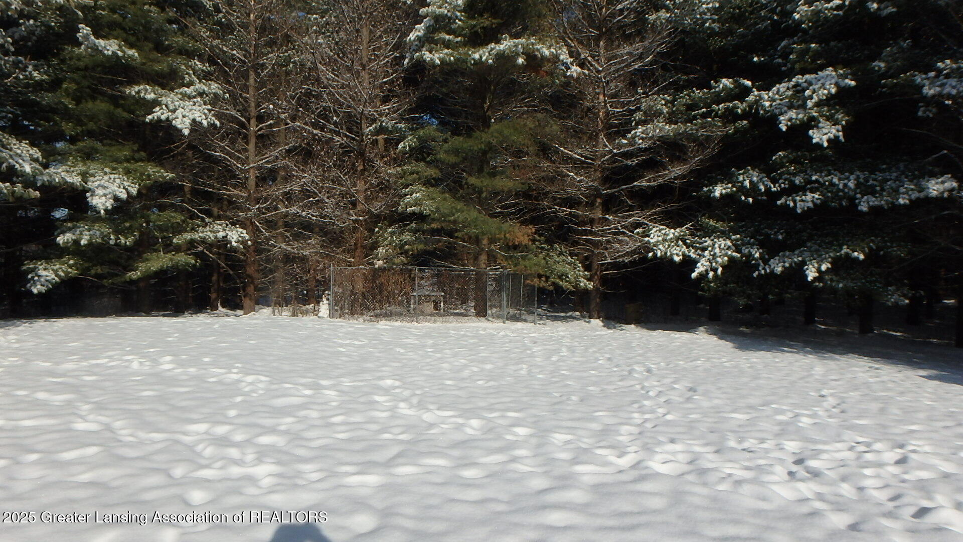 2612 South Ainger Road Charlotte, MI 48813 - Photo 32 of 39 dog yard