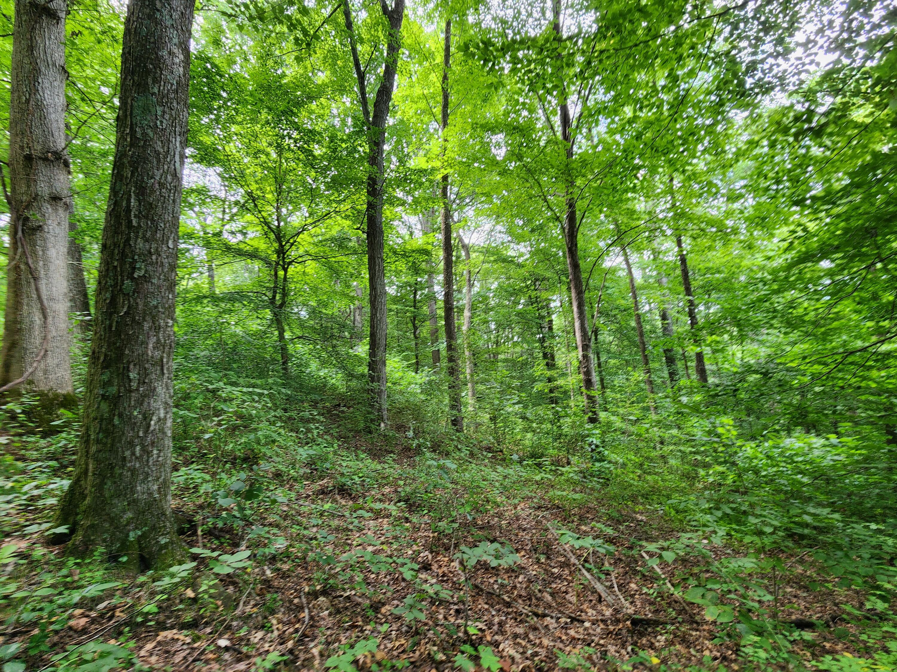 20036 Culp Road Logan, OH 43138 - Photo 31 of 39 20230720_112657