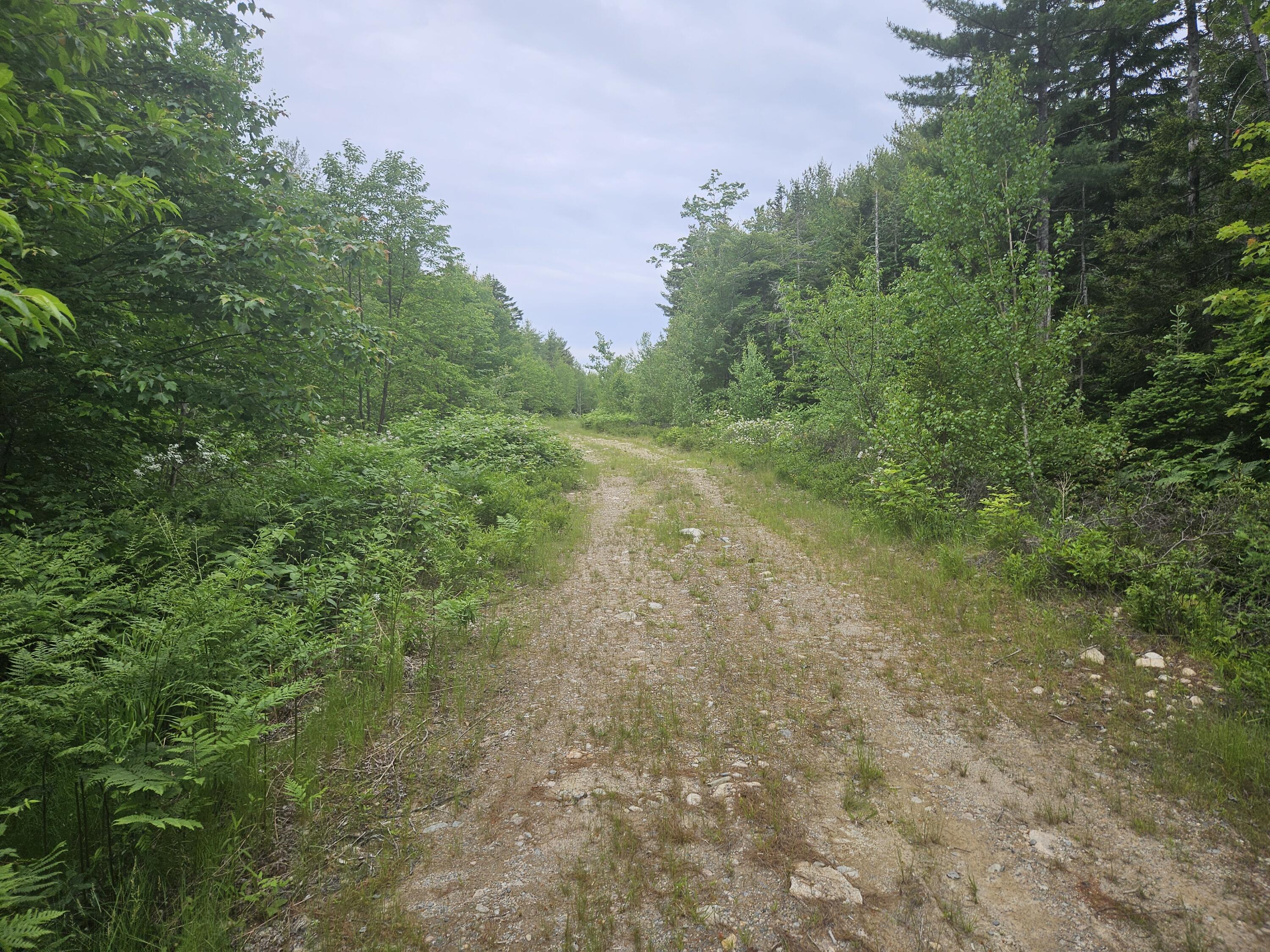 M17-l5&11 Number 7 Road Steuben, ME 04680 - Photo 10 of 27 Access Road directly off Route 1