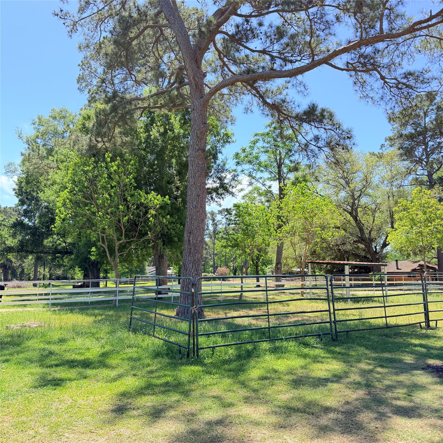 26427 1/2 Dobbin-Huffsmith Road Magnolia, TX 77354 - Photo 2 of 24 Gallery Image 2