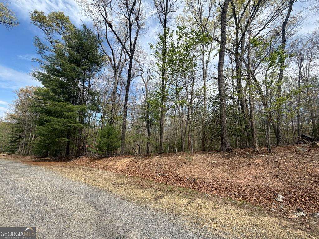 2 Amber Way Morganton, GA 30560 - Photo 1 of 17 a view of outdoor space with trees