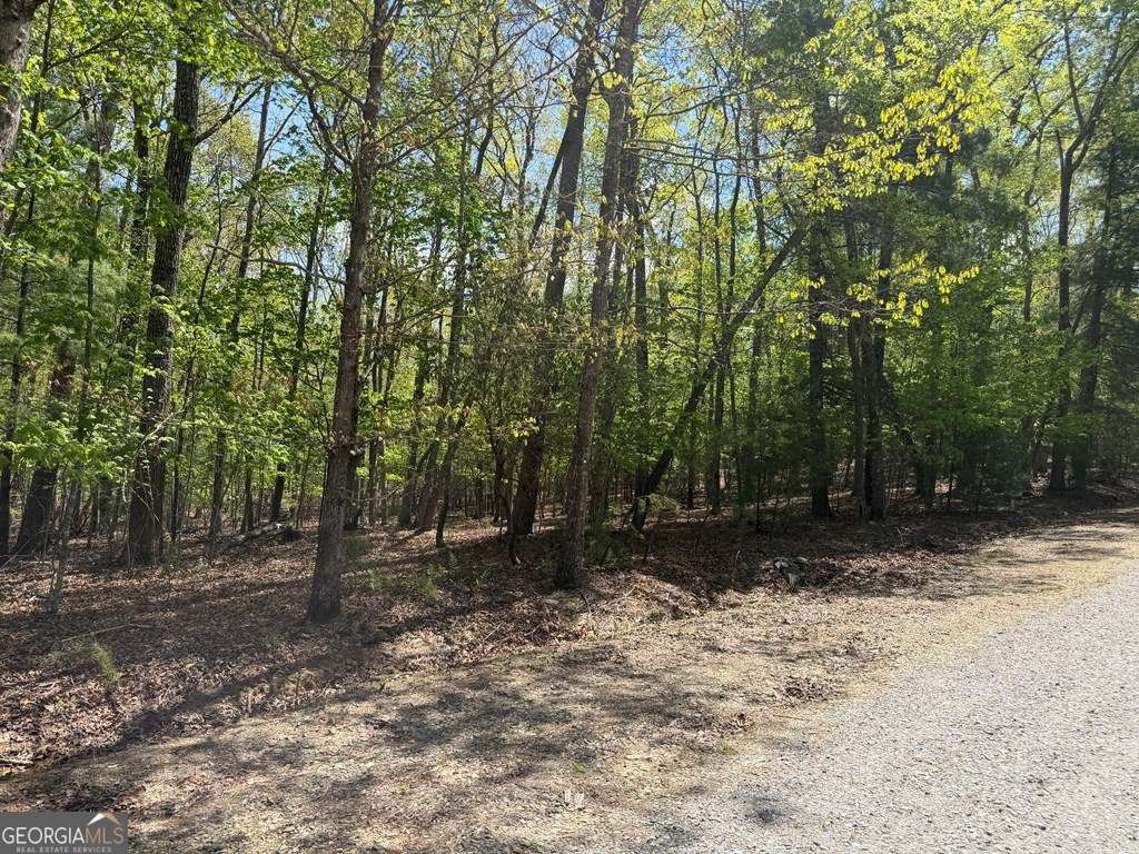 2 Amber Way Morganton, GA 30560 - Photo 12 of 17 a view of outdoor space with trees
