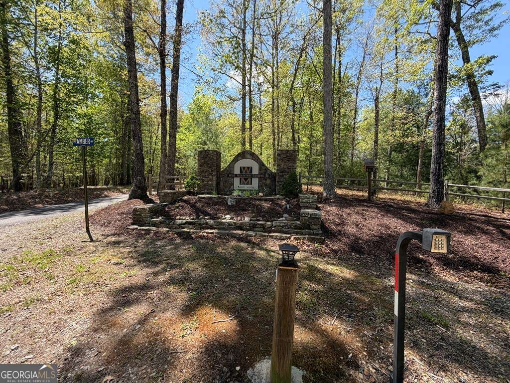2 Amber Way Morganton, GA 30560 - Photo 15 of 17 a view of a park with large trees