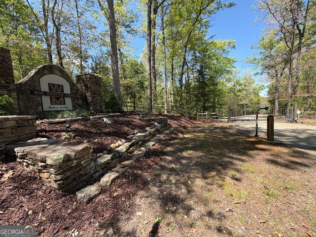 2 Amber Way Morganton, GA 30560 - Photo 17 of 17 a view of a yard with plants and trees