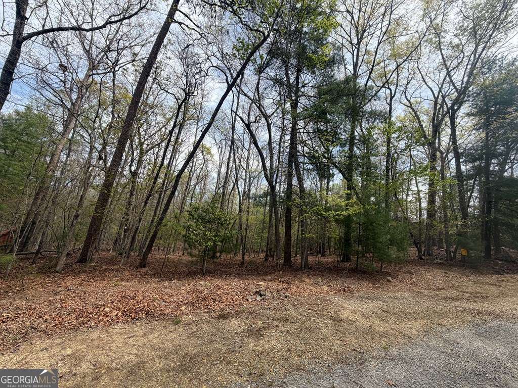 2 Amber Way Morganton, GA 30560 - Photo 2 of 17 a view of backyard with green space