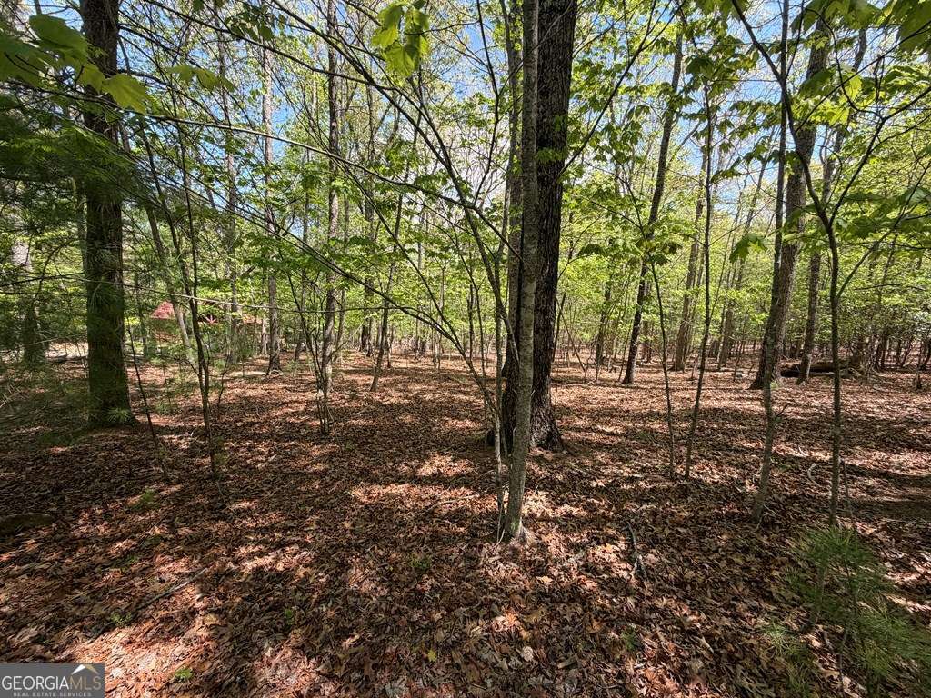 2 Amber Way Morganton, GA 30560 - Photo 4 of 17