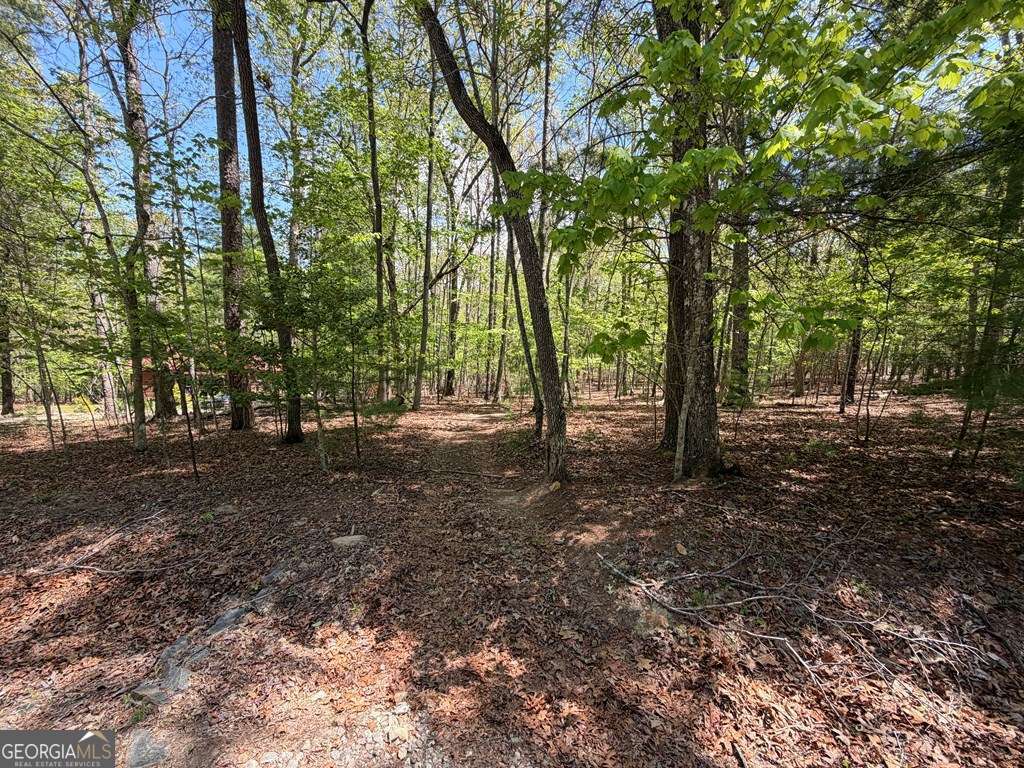 2 Amber Way Morganton, GA 30560 - Photo 7 of 17 a view of outdoor space with trees