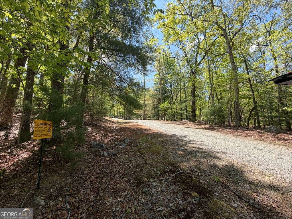 2 Amber Way Morganton, GA 30560 - Photo 9 of 17 a view of road and trees