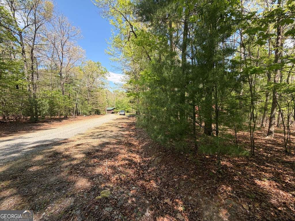 2 Amber Way Morganton, GA 30560 - Photo 10 of 17 a view of a yard with trees