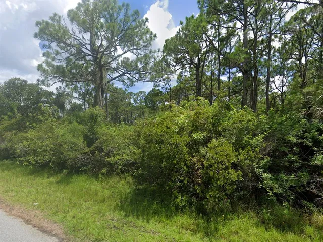 a view of a lake with a tree