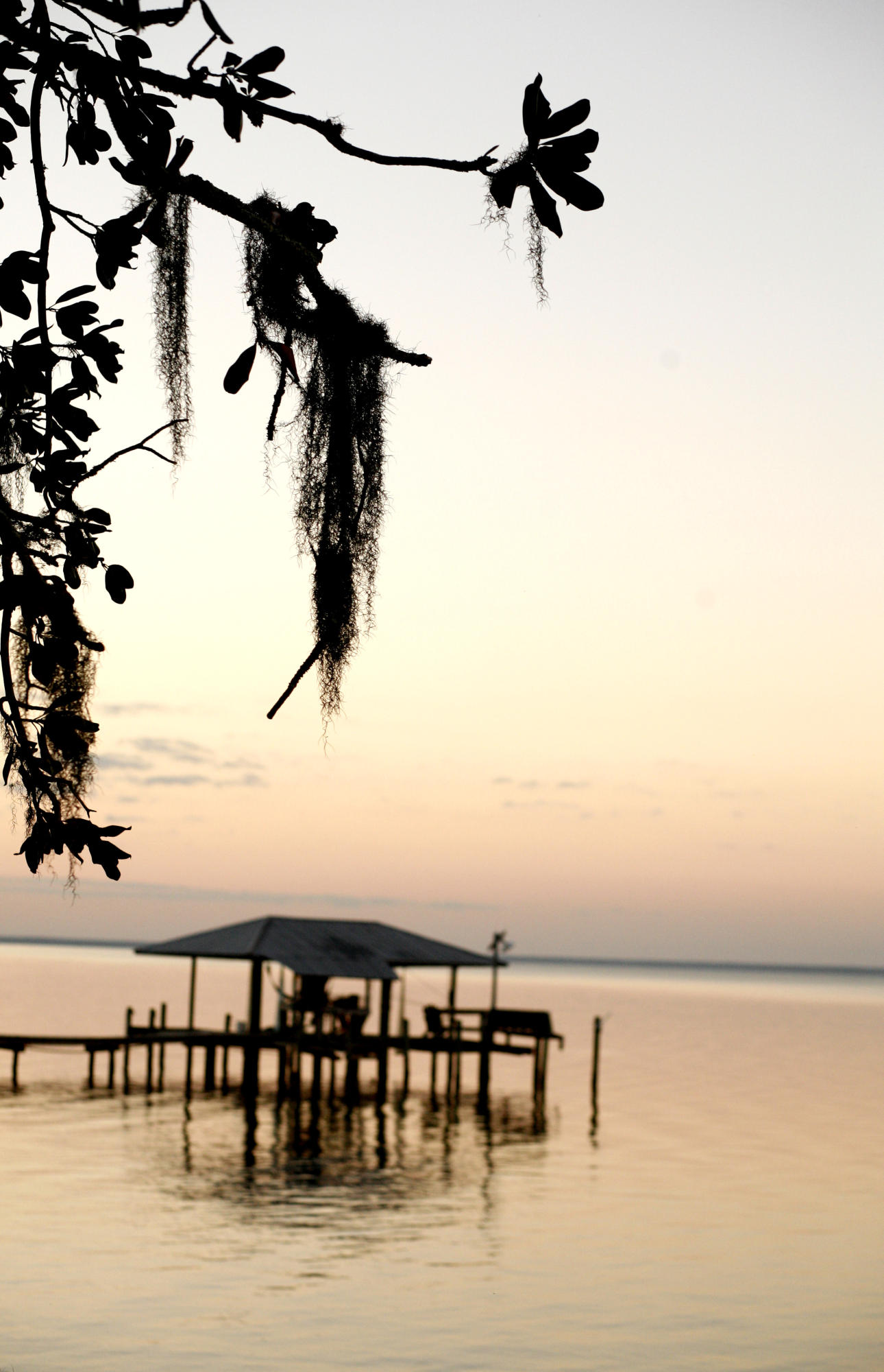 1740 J D Miller Road Santa Rosa Beach, FL 32459 - Photo 2 of 2 Fall on the bay 009