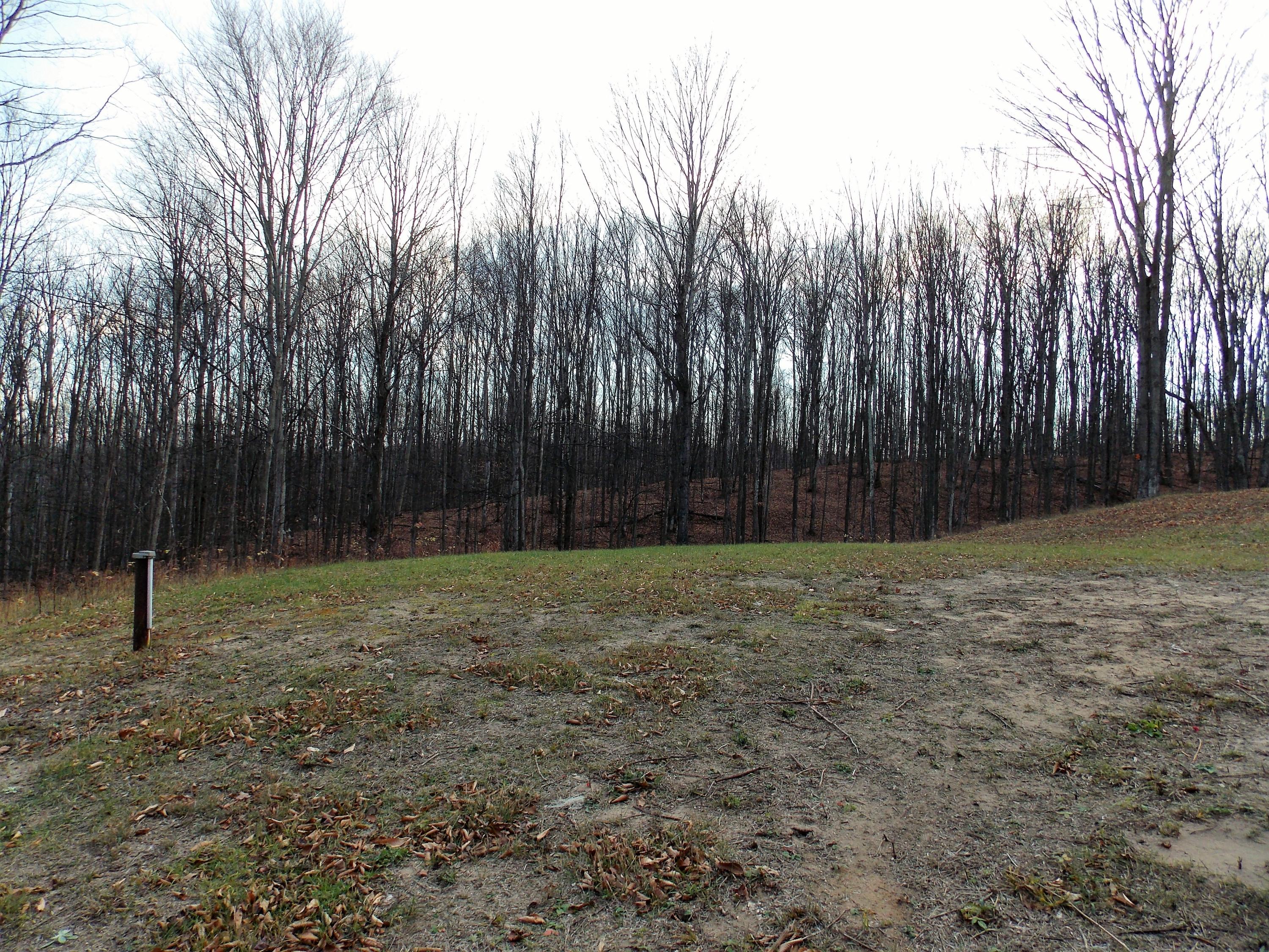 8100 O' Rourke Road Vanderbilt, MI 49795 - Photo 15 of 55 Gallery Image 15
