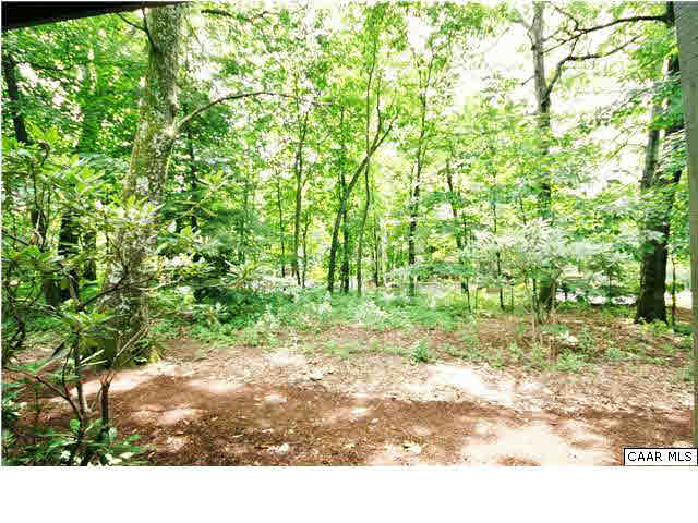 456 Three Ridges Roseland, VA 22967 - Photo 7 of 8 a view of a yard with plants and large trees
