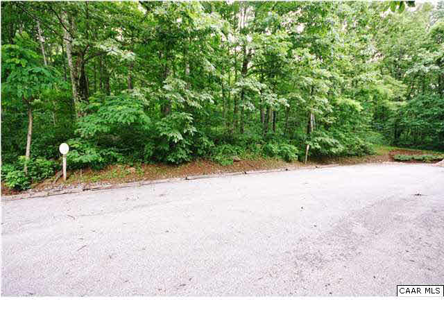 456 Three Ridges Roseland, VA 22967 - Photo 8 of 8 a view of a road with a yard