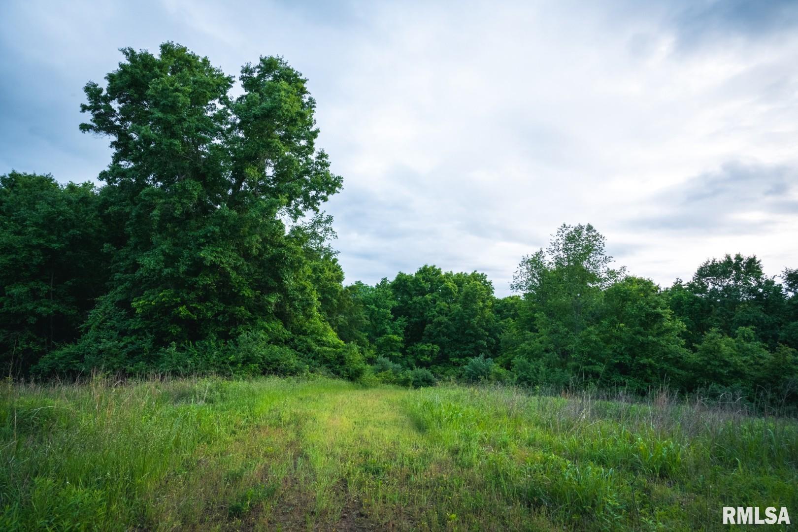 12481 Timber Ridge Godfrey, IL 62035 - Photo 76 of 98