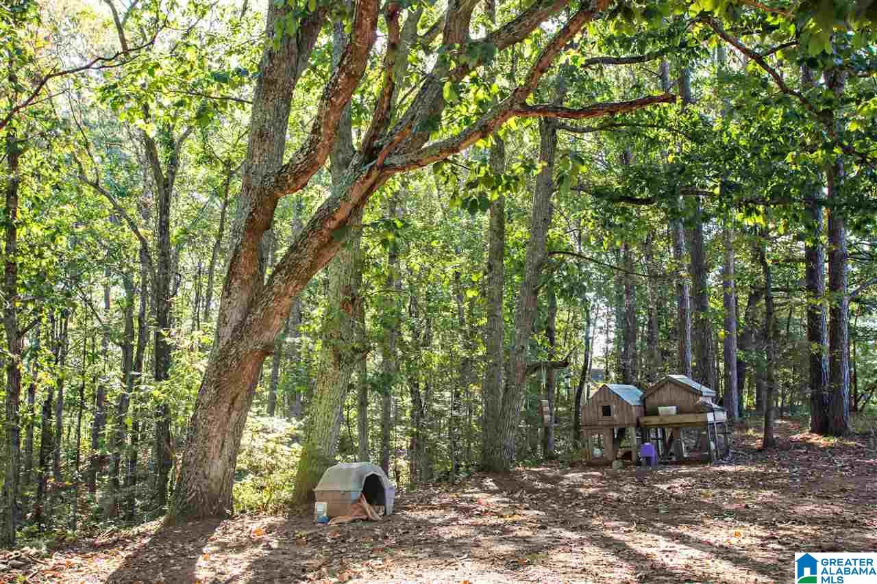 581 Fred Terry Road Locust Fork, AL 35097 - Photo 47 of 49