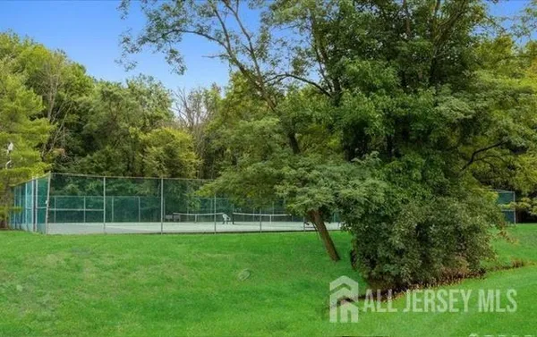 a view of a yard with a tree