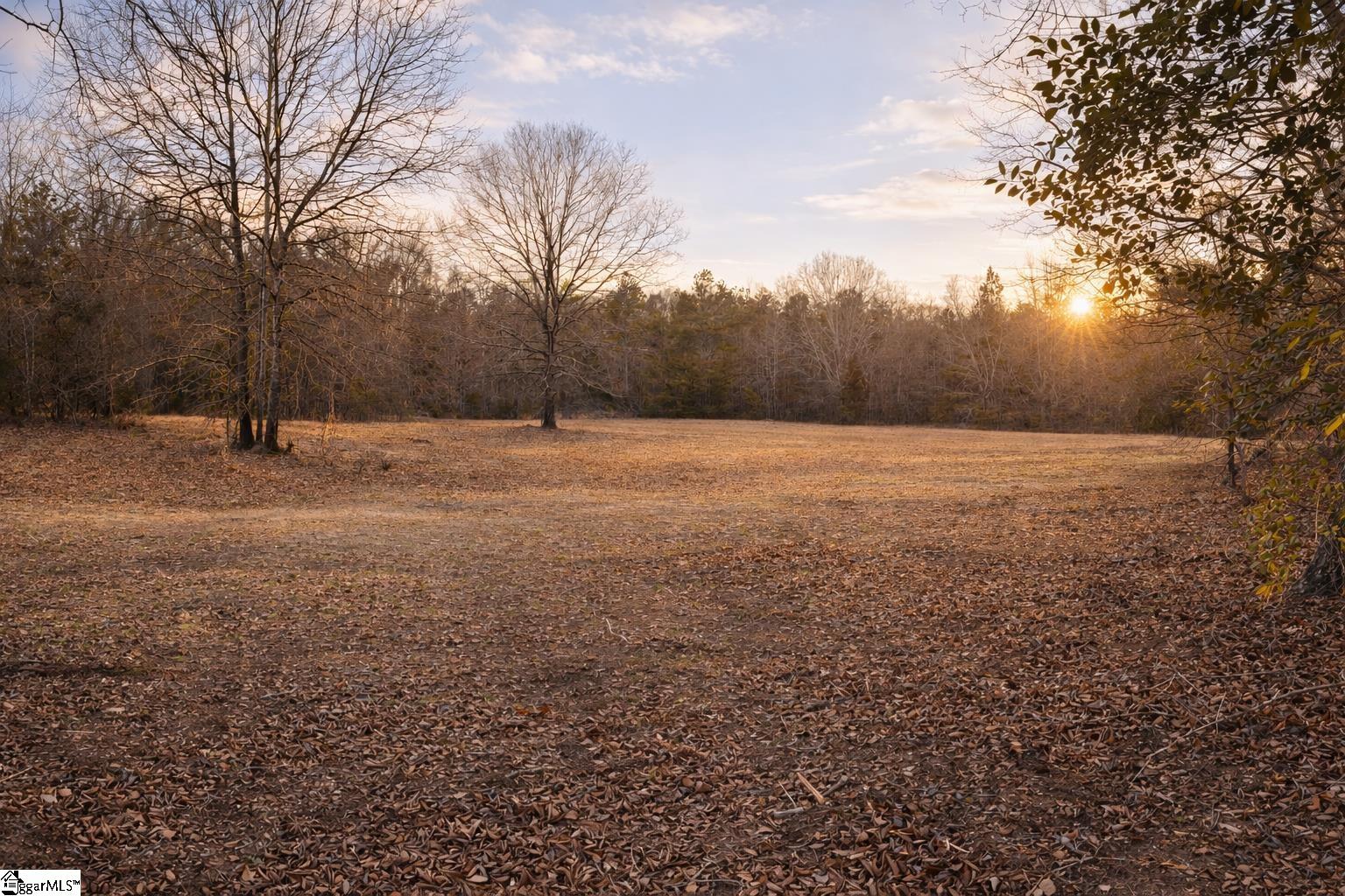 472 Flat Rock Road Liberty, SC 29657 - Photo 2 of 4