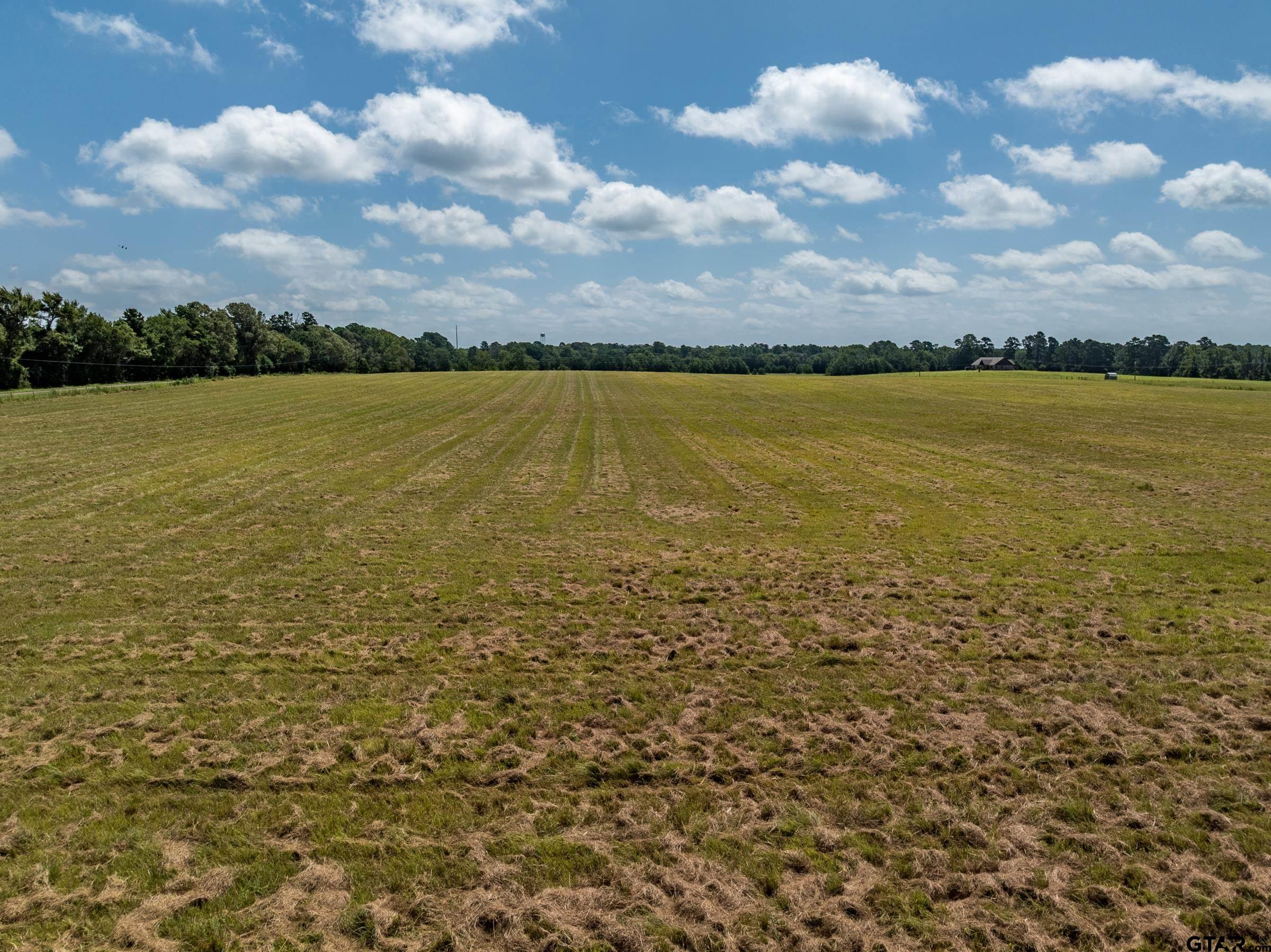 1420 Acr 379 Palestine, TX 75801 - Photo 6 of 10 a view of an ocean