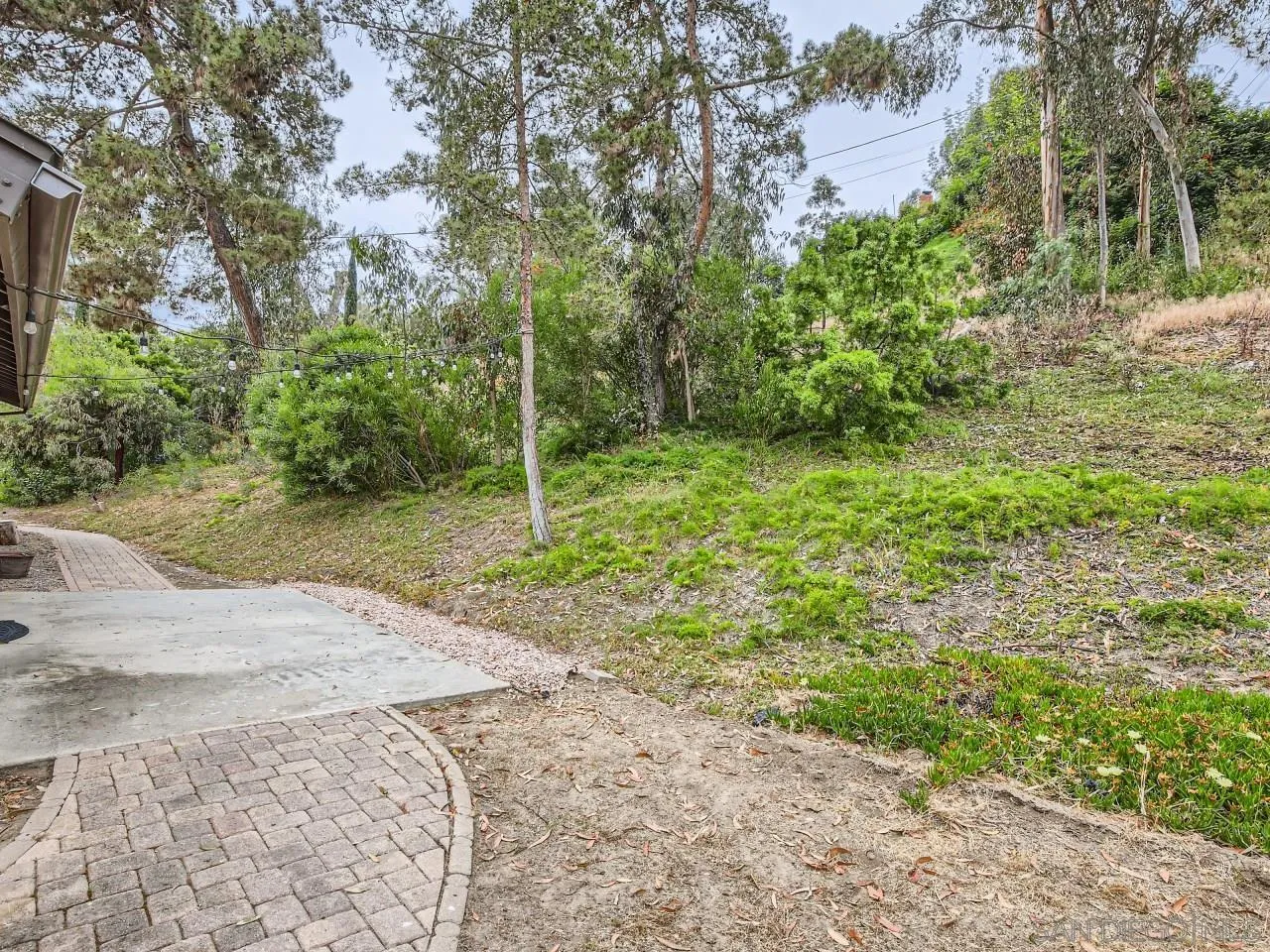 124 Candy Lane Encinitas, CA 92024 - Photo 25 of 27 a view of a yard with plants and trees