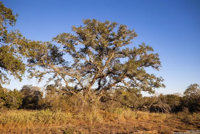 $147,420 | 552 Pr Arroyo Vista, Somerset, TX 78069