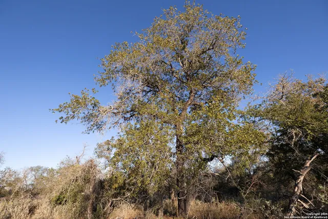 $147,420 | 552 Pr Arroyo Vista, Somerset, TX 78069