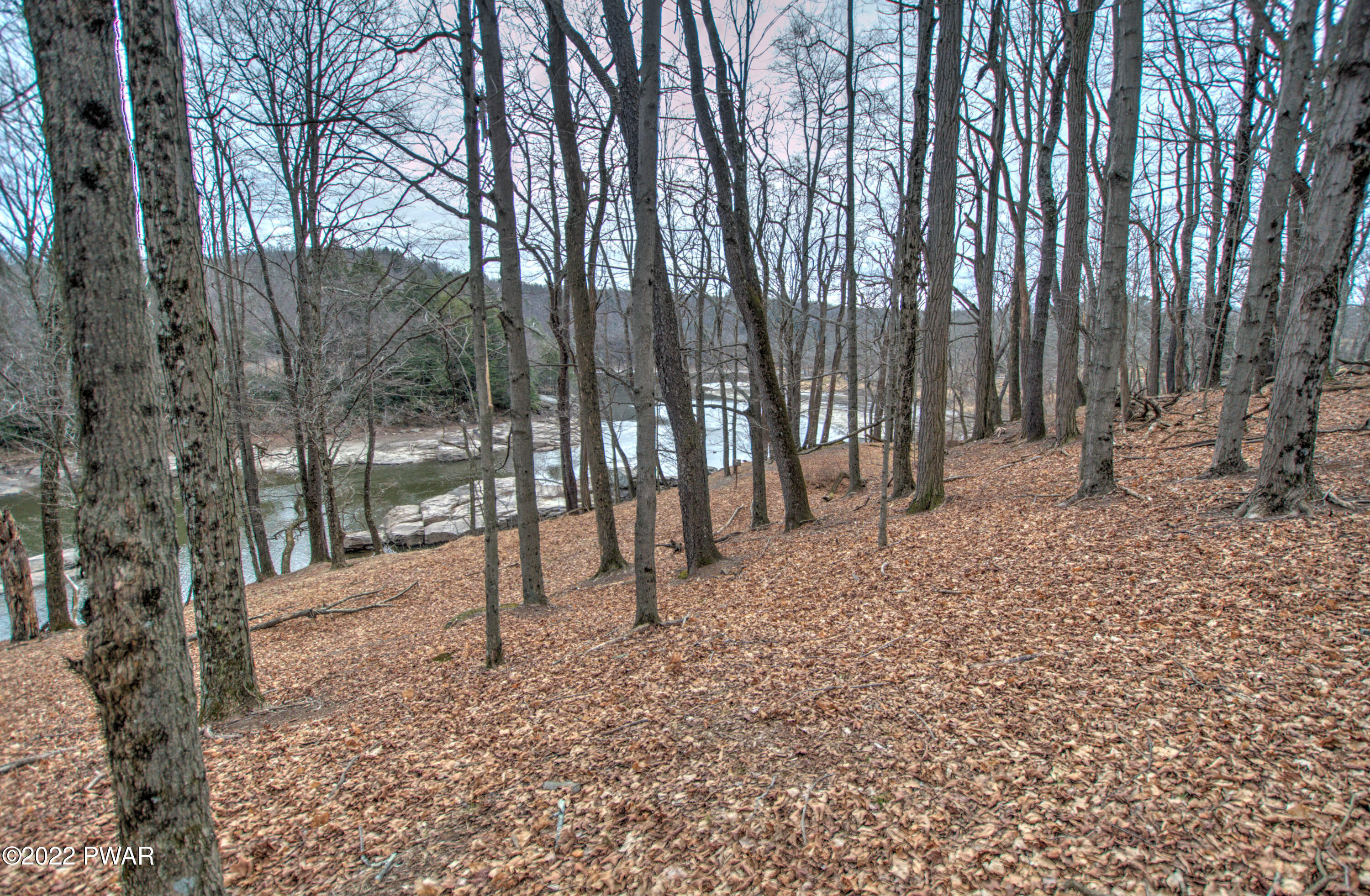 875 Ledgedale Road Lake Ariel, PA 18436 - Photo 4 of 28