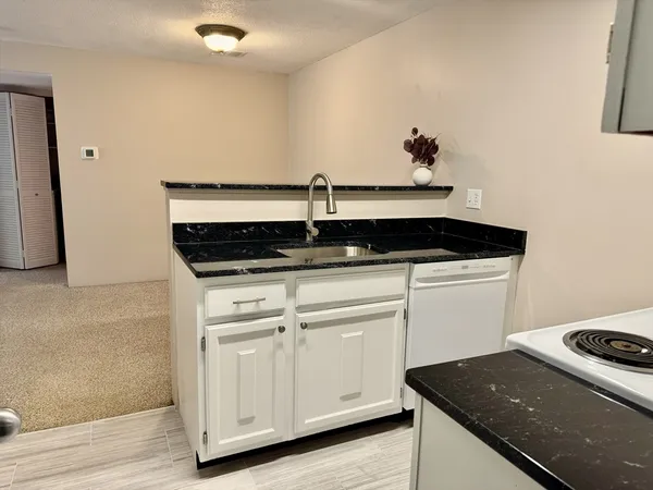 a kitchen with a sink and cabinets